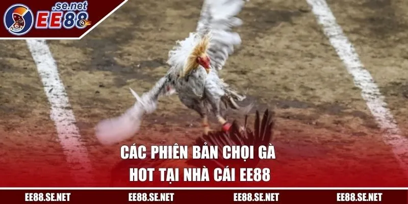 Các phiên bản chọi gà hot tại nhà cái EE88